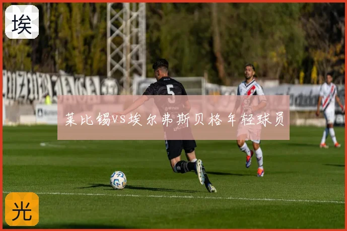 莱比锡vs埃尔弗斯贝格年轻球员